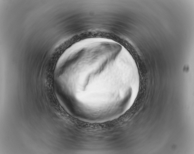 X0000091100919200709041320