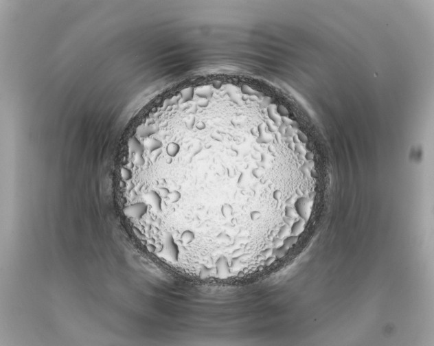 X0000091100921200709041320