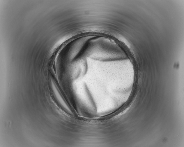 X0000091100922200709041320