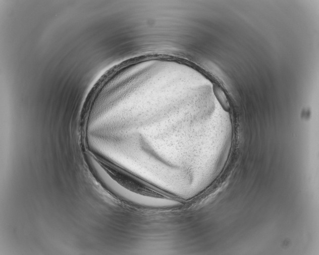 X0000091100924200709041320