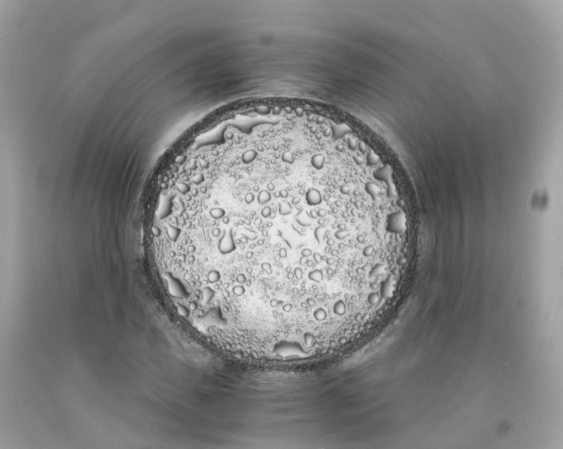 X0000091100925200709041320