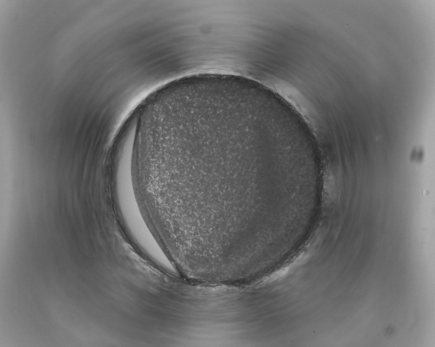 X0000091100926200709041320