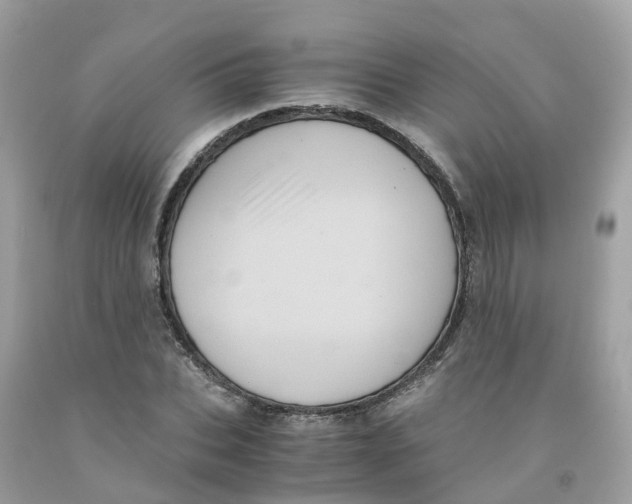 X0000091100927200709041320