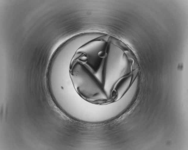 X0000091100928200709041320