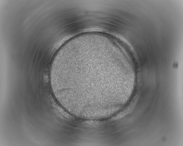 X0000091100929200709041320