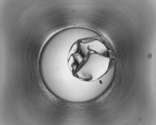 X0000091100932200709041320