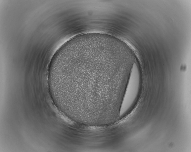 X0000091100933200709041320