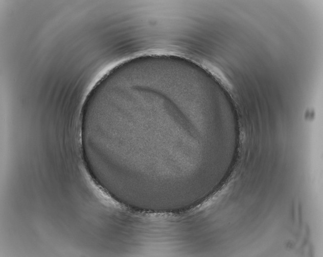 X0000091100934200709041320