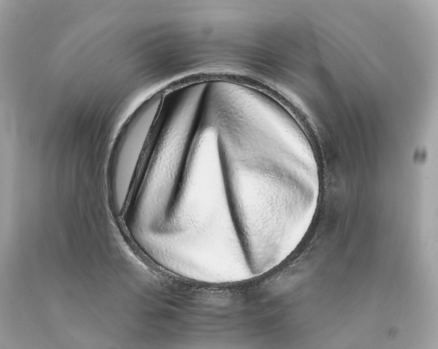 X0000091100935200709041320