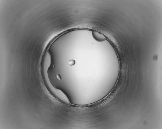 X0000091100936200709041320