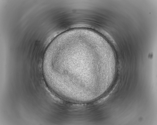 X0000091100937200709041320