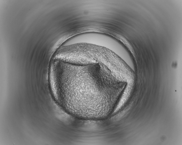 X0000091100938200709041320