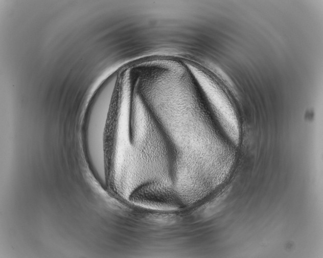 X0000091100939200709041320