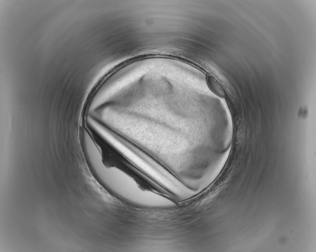 X0000091100940200709041320