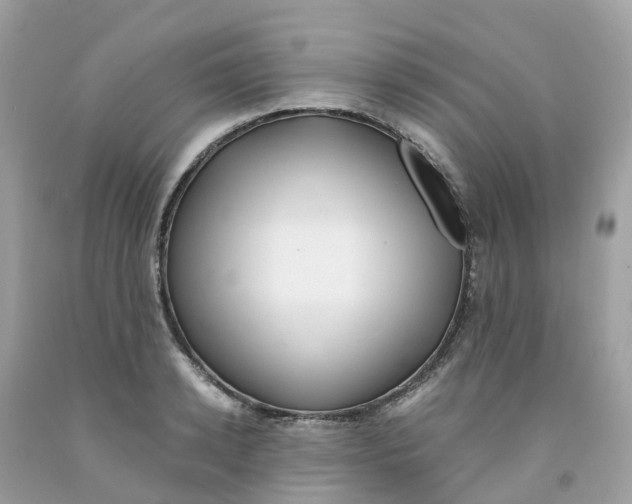 X0000091100942200709041320