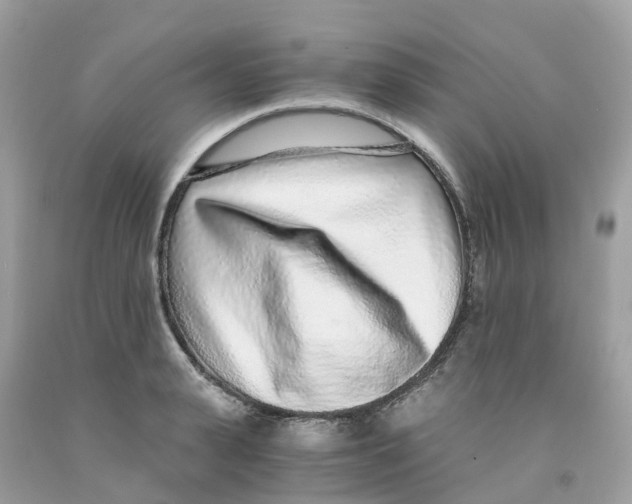 X0000091100943200709041320