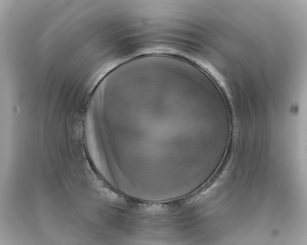 X0000091100945200709041320