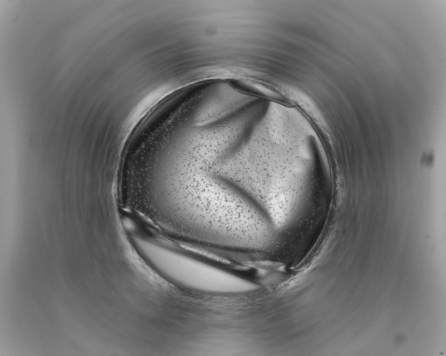 X0000091100946200709041320