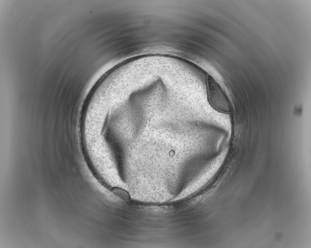 X0000091100947200709041320