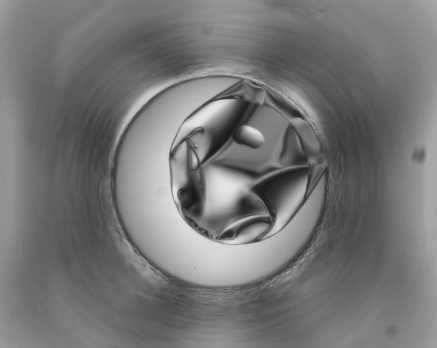 X0000091100948200709041320