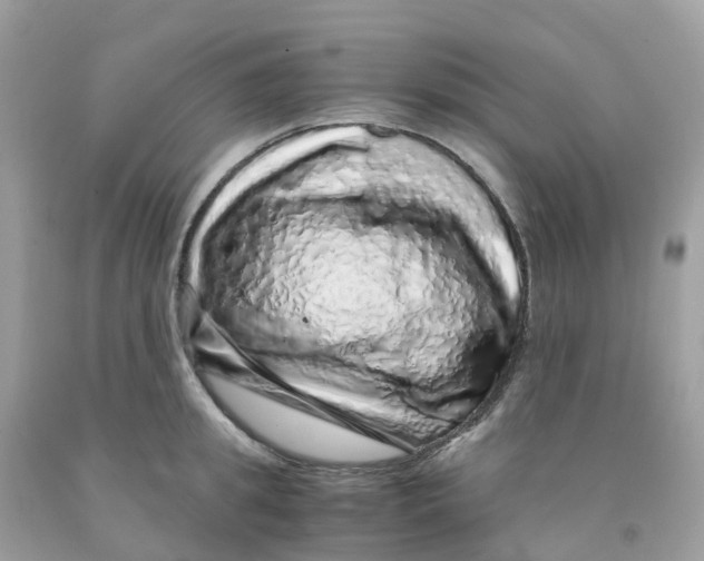 X0000091100949200709041320