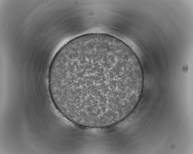 X0000091100950200709041320