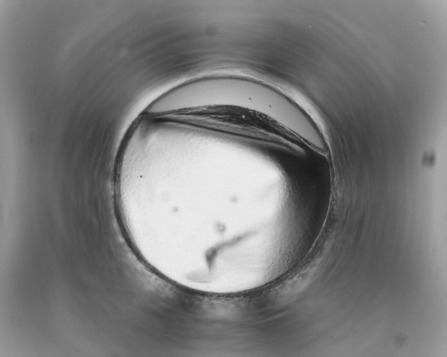 X0000091100951200709041320