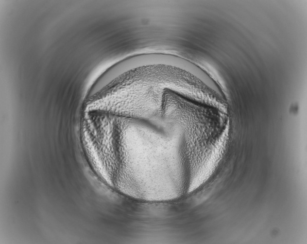 X0000091100952200709041320