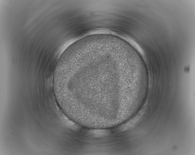 X0000091100953200709041320