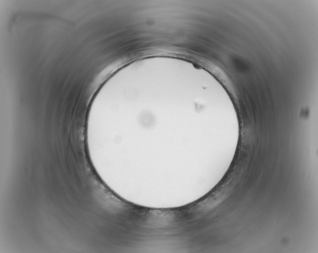 X0000091100954200709041320