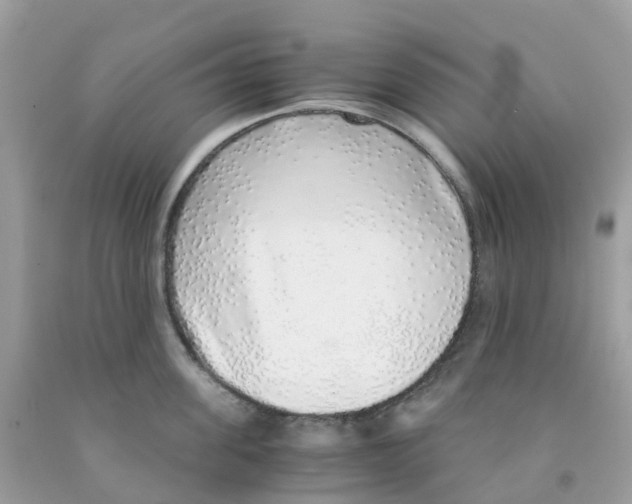 X0000091100955200709041320