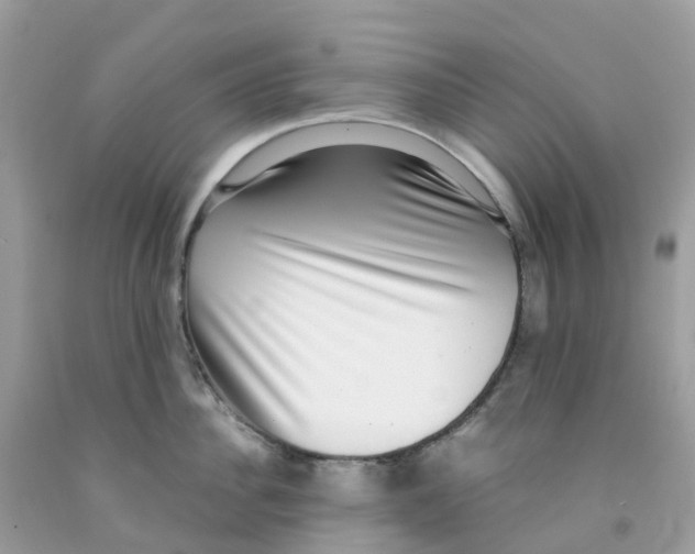 X0000091100956200709041320