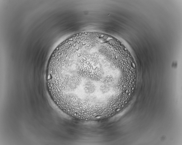 X0000091100957200709041320