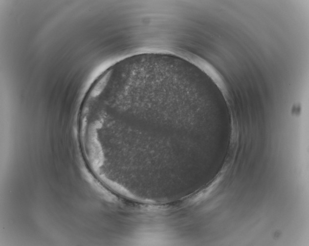 X0000091100958200709041320