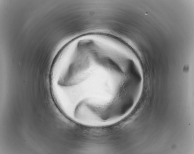 X0000091100959200709041320