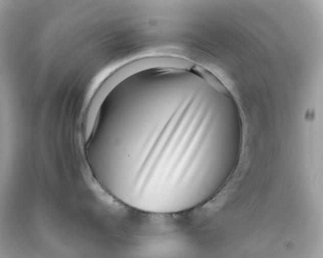 X0000091100960200709041320