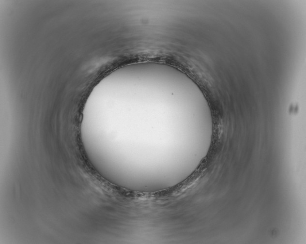 X0000091100961200709041320