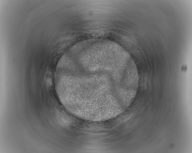 X0000091100962200709041320