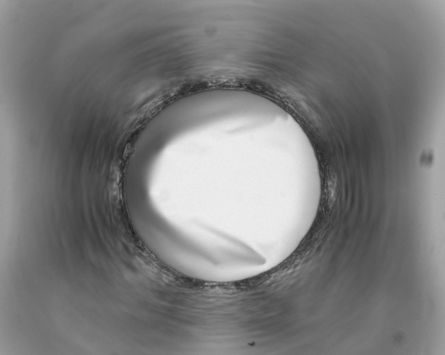 X0000091100964200709041320