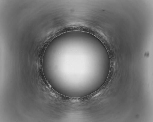 X0000091100965200709041320