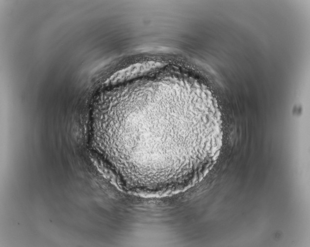 X0000091100966200709041320