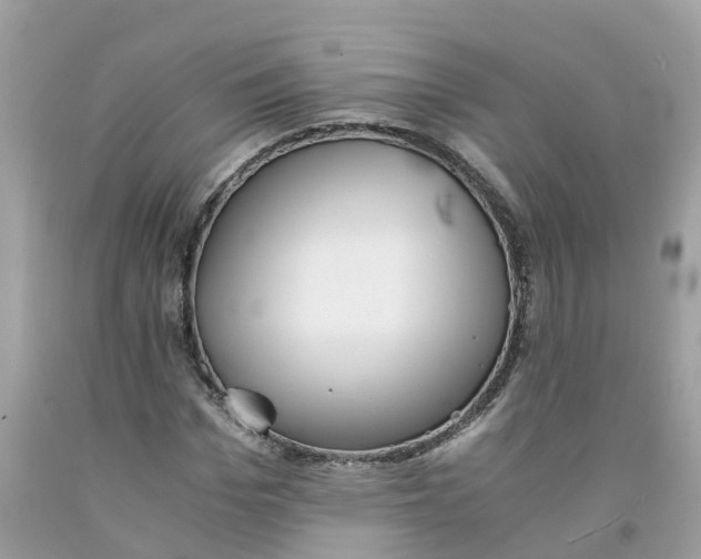 X0000091100969200709041320