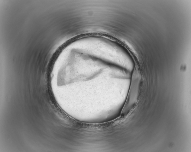 X0000091100975200709041319