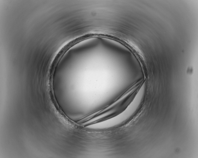 X0000091100976200709041319