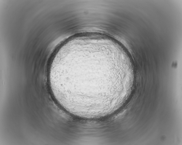 X0000091100979200709041319