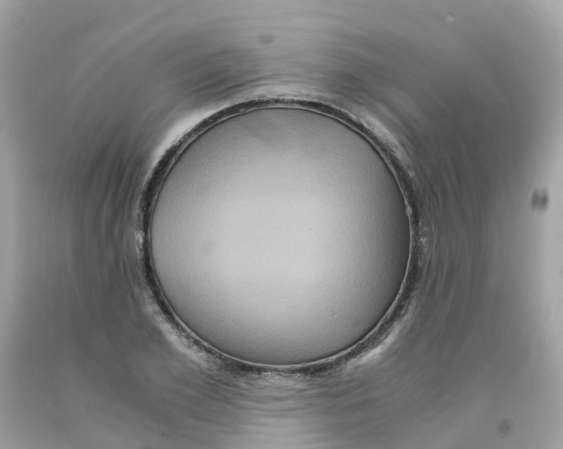 X0000091100981200709041319