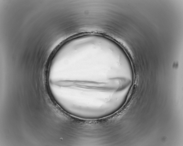 X0000091100983200709041319