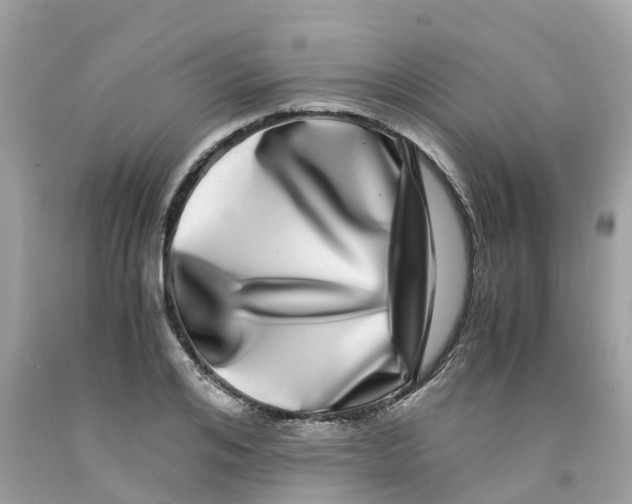 X0000091100984200709041319