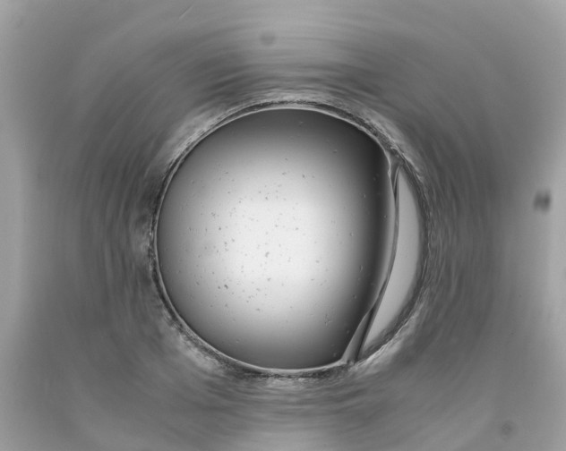 X0000091100985200709041319