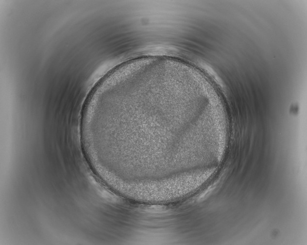 X0000091100986200709041319